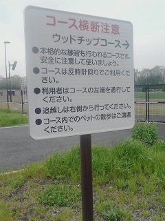 02.jpg