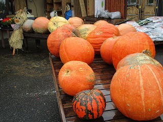 IMG_0138ss.jpg