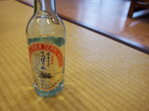P1050109.JPG