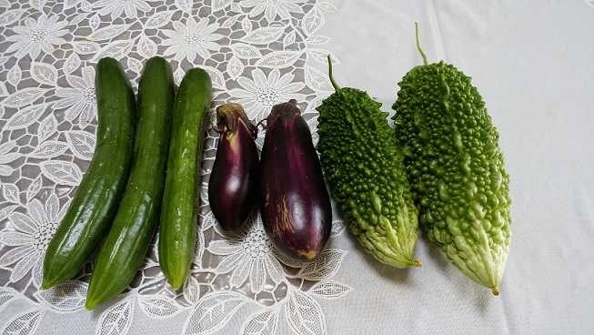 家庭菜園