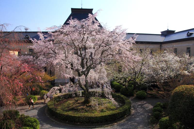京都府庁旧本館_002.jpg