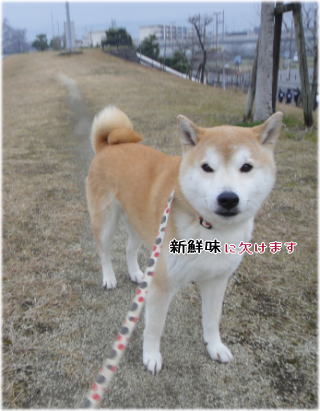 0130夕.jpg