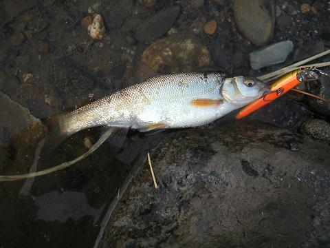 2012.05.26~27 007.jpg