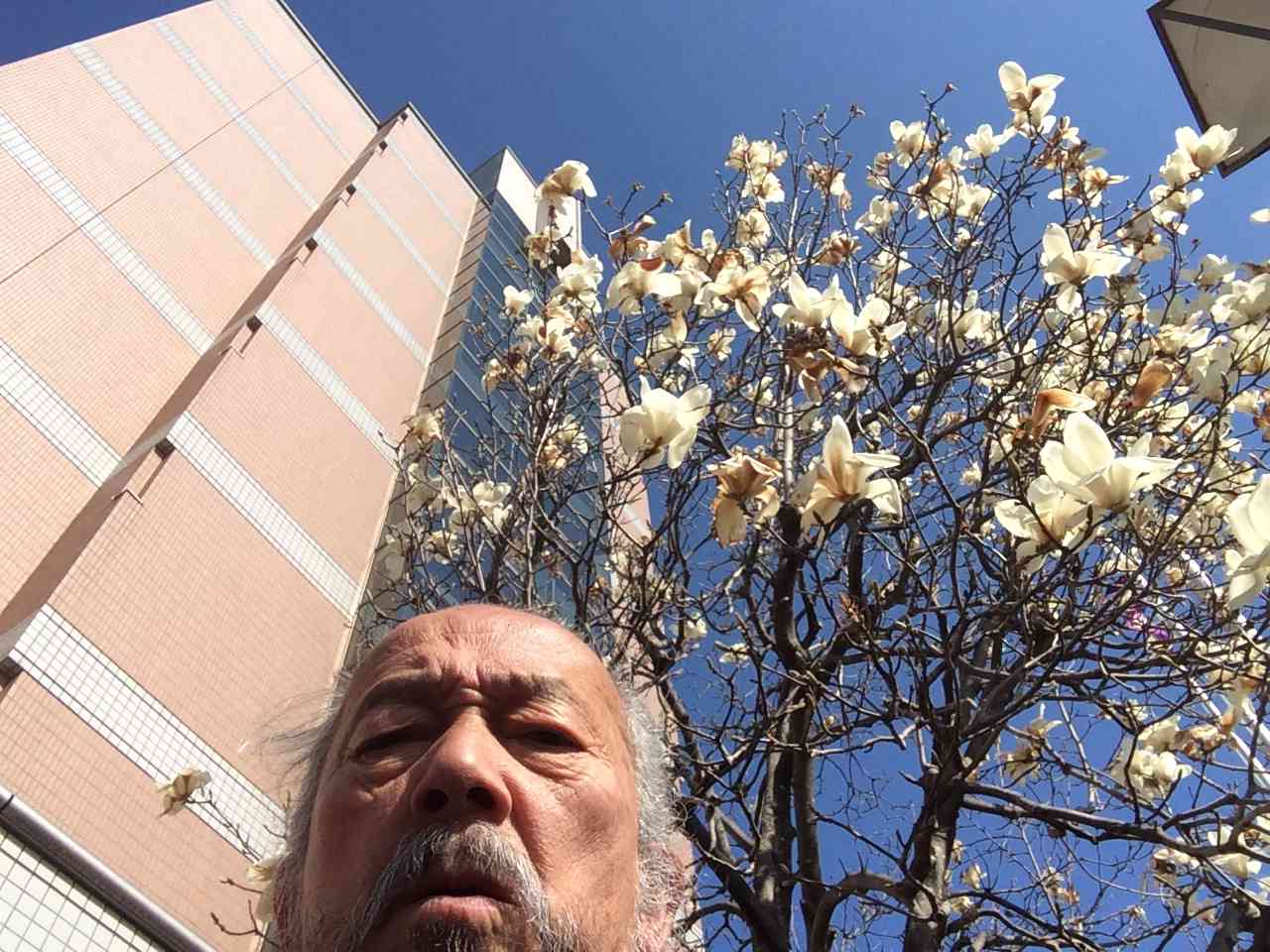 3月24日2