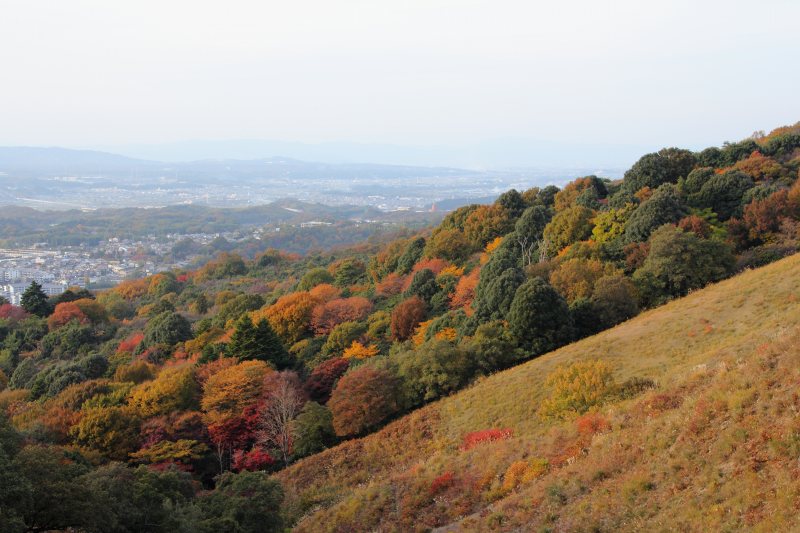 若草山_2.jpg