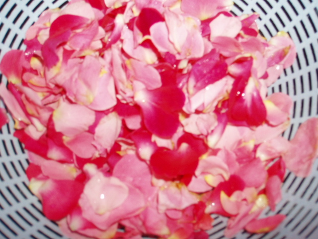 薔薇の収穫002.5.30