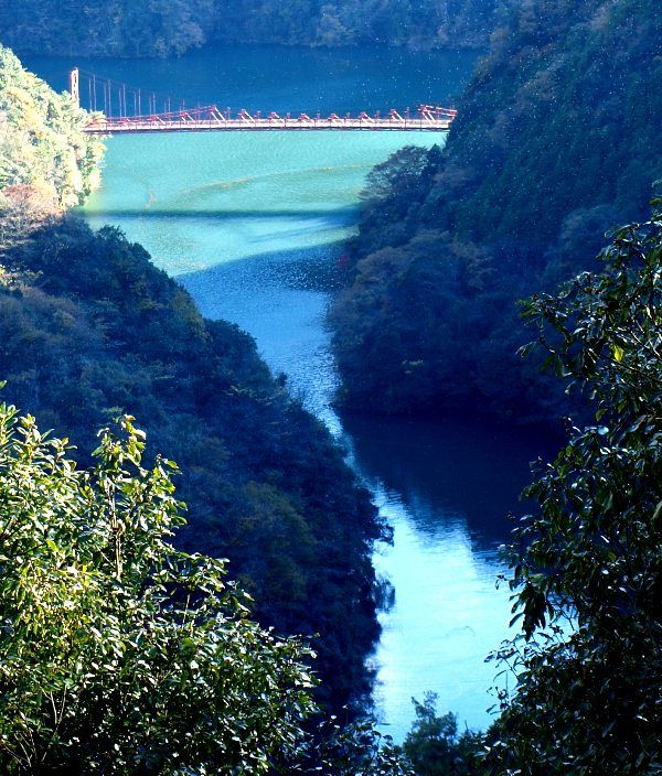 赤と青のコントラスト