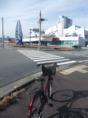 20120202マリンパーク御前崎