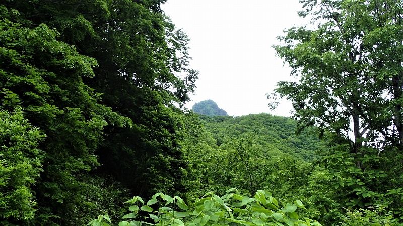 19年6月の山 定山渓天狗岳 山歩きは好歩 スキップ して四季折々 登山日和のｆｏｏｔｍａｒｋ 楽天ブログ