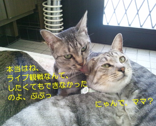 20120810_3.jpg