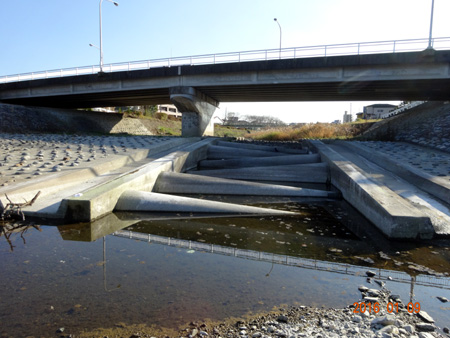 横川橋の魚道.jpg