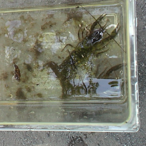 2012052710410000~00001.JPG