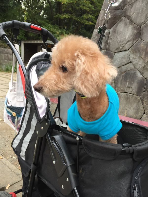 rblog-20161114010124-02.jpg