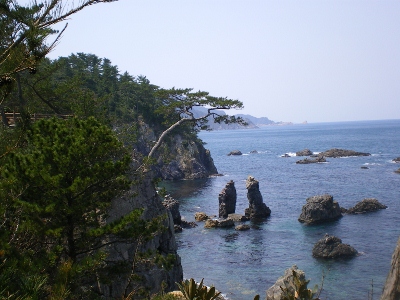 IMGP5956 (400x300).jpg