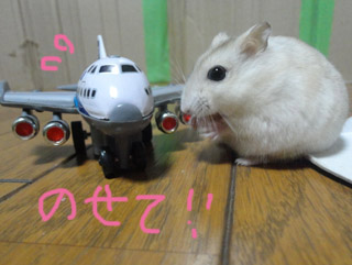 飛行機にのりたいな.jpg