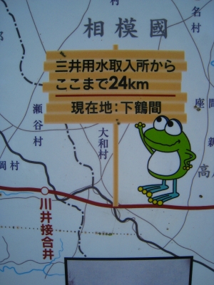ss4