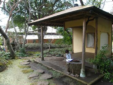 ５：庭（2012.2.27）.JPG