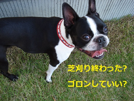 DSC05001.jpg