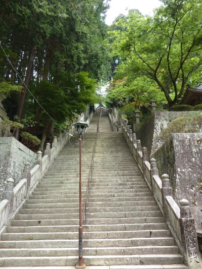 3別格１５番箸蔵寺（はしくらじ）この階段を上って左をむくと (2).JPG