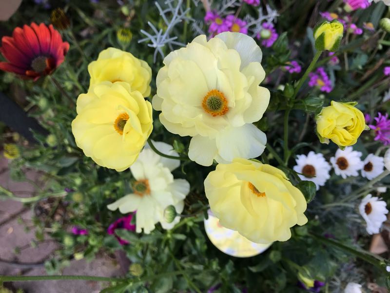 rblog-20190324173608-03.jpg