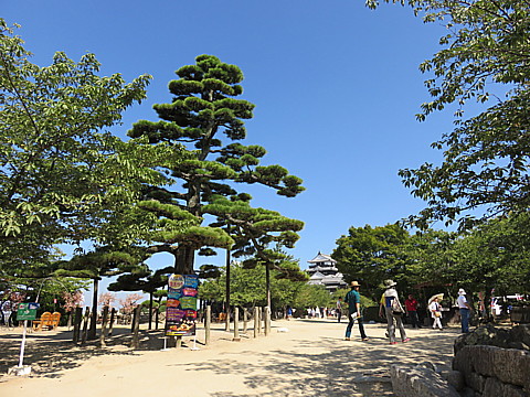 IMG_5752.jpg