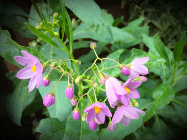 rblog-20160828185821-05.jpg