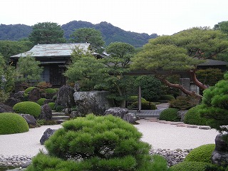 DSCN1378.jpg