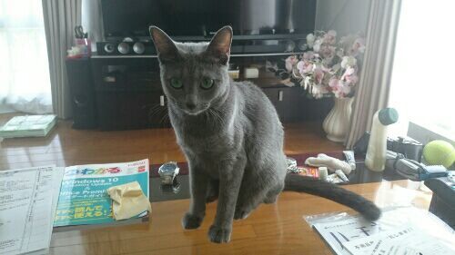rblog-20170904182346-01.jpg