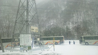 宝台樹1