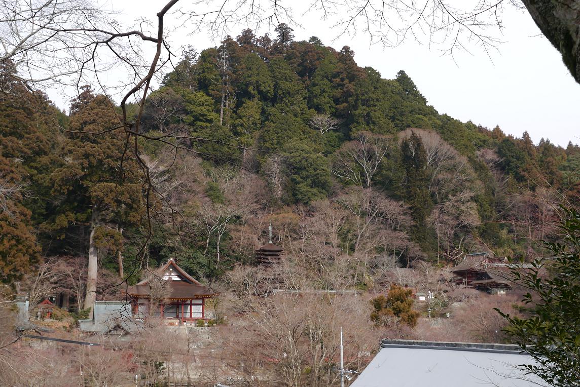 P1010843.JPG