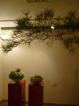 P1010177.jpg