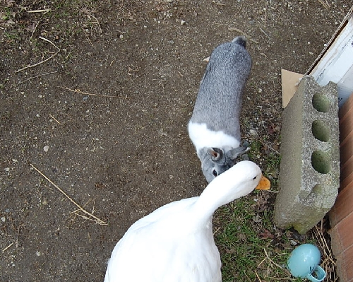 DSC_0058.JPG