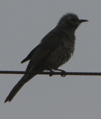 E7D_6461-3.jpg
