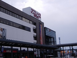 DSCN8393.jpg