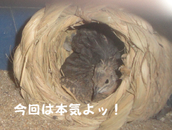 2013/05/21(2)