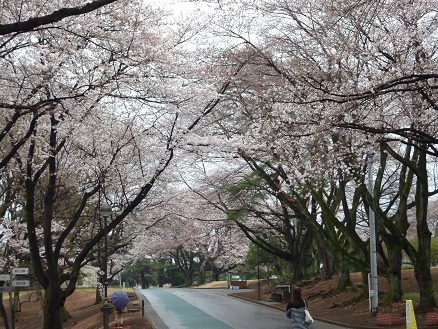 稲荷山２.jpg