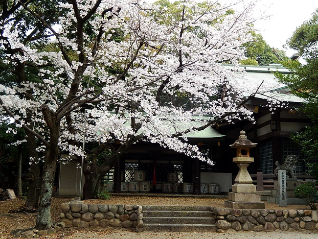 桜２