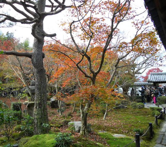 2015-11 圓光寺・十牛之庭・東.jpg