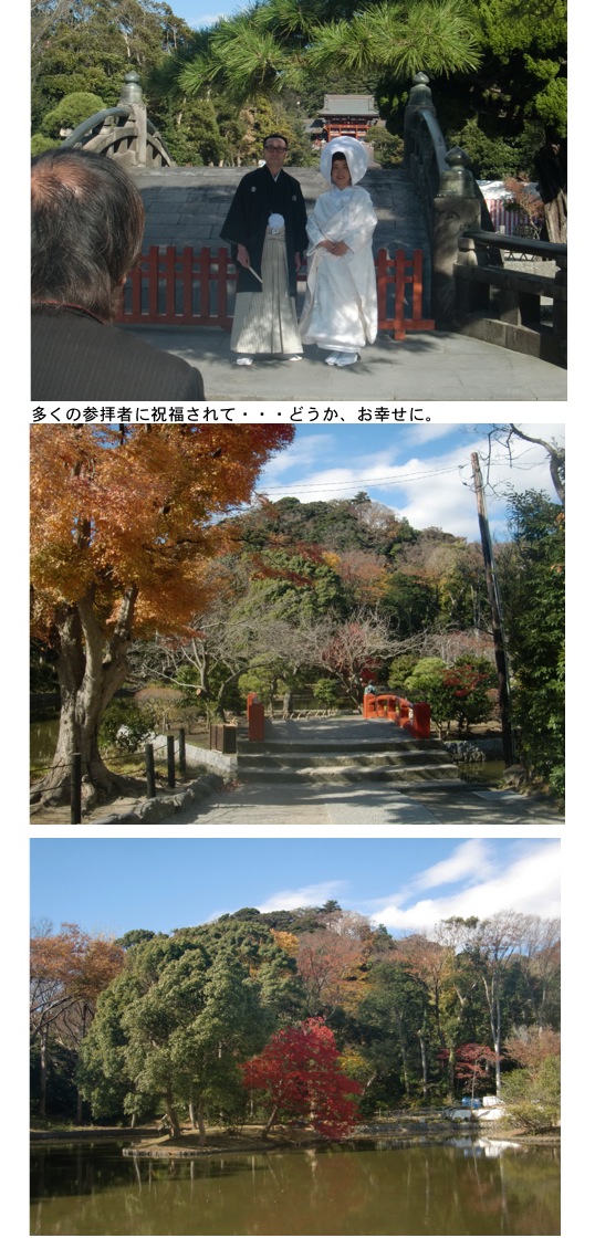2013.12.01-5.jpg