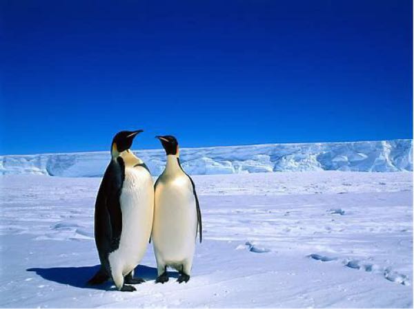 rblog-20171227205635-01.jpg