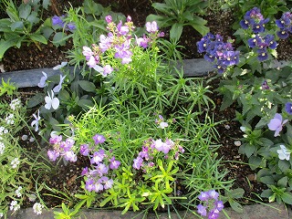IMG_3268ss.jpg
