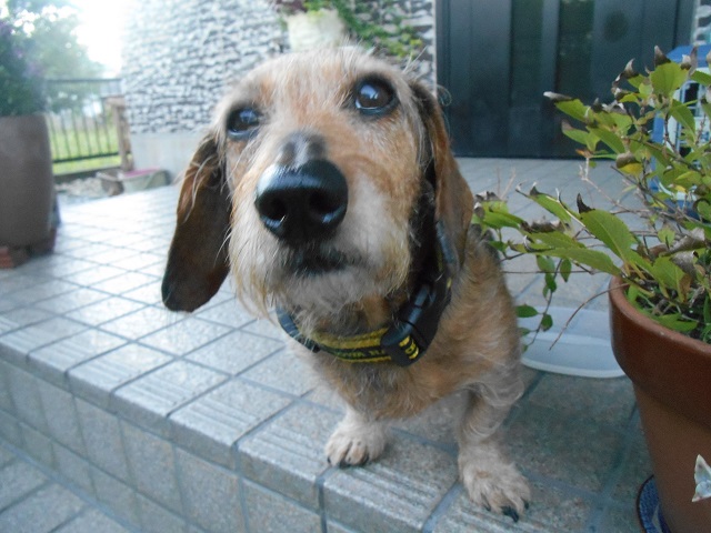 DSCN1091.JPG