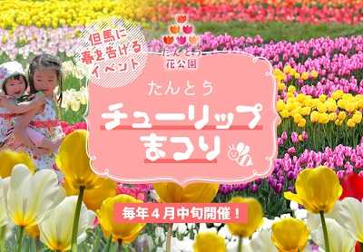 22 たんとうチューリップまつり 城崎円山川温泉 銀花のお宿ブログ 楽天ブログ