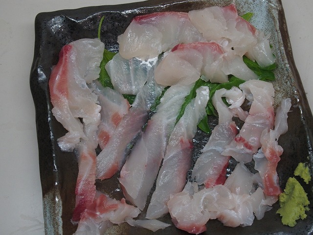 P4210012.jpg