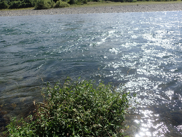 resize0005.jpg