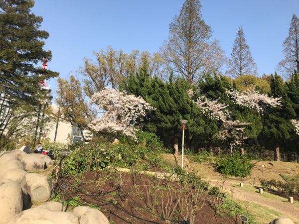 rblog-20170417083416-01.jpg