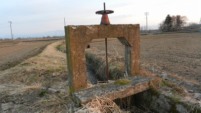 DSCN3030.jpg