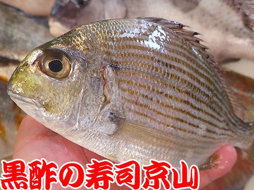 寿司　出前　港区　南麻布