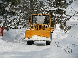 DSCN9933.jpg