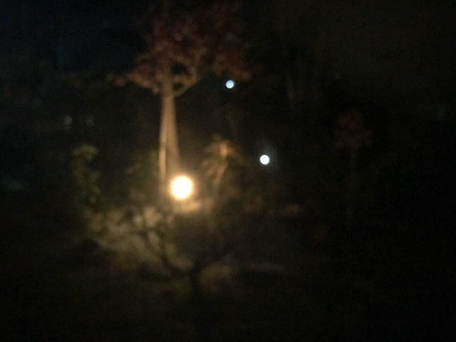 rblog-20181018183105-03.jpg